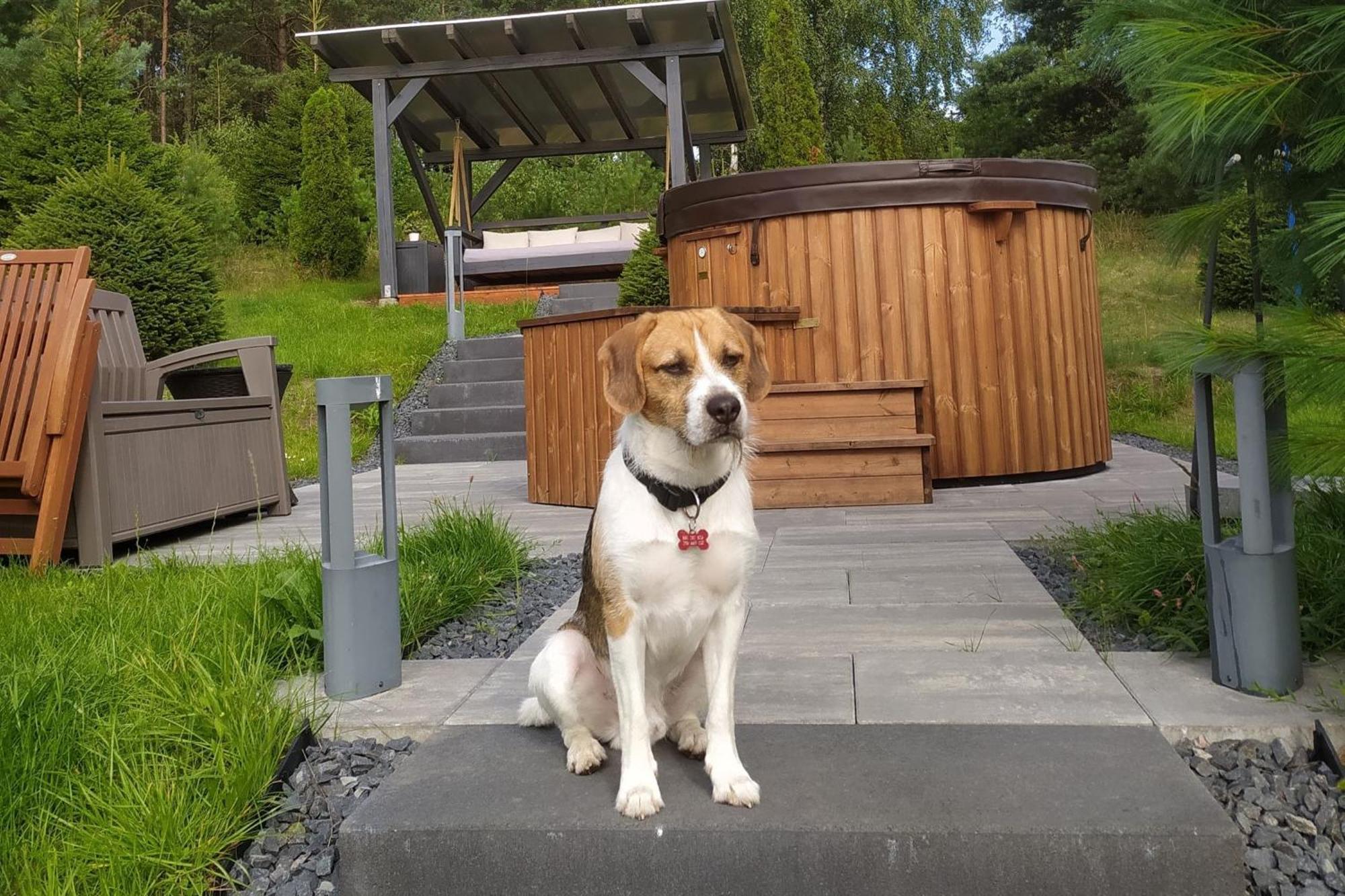 Dom Na Wzgorzu Z Widokiem Na Jezioro Z Balia I Sauna Lipnica  ภายนอก รูปภาพ